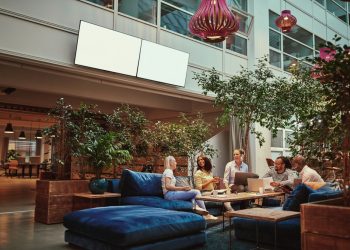 How To Choose The Right Sofa For Your Office