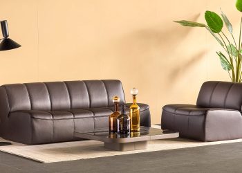 DS-910 Seating Collection by de Sede