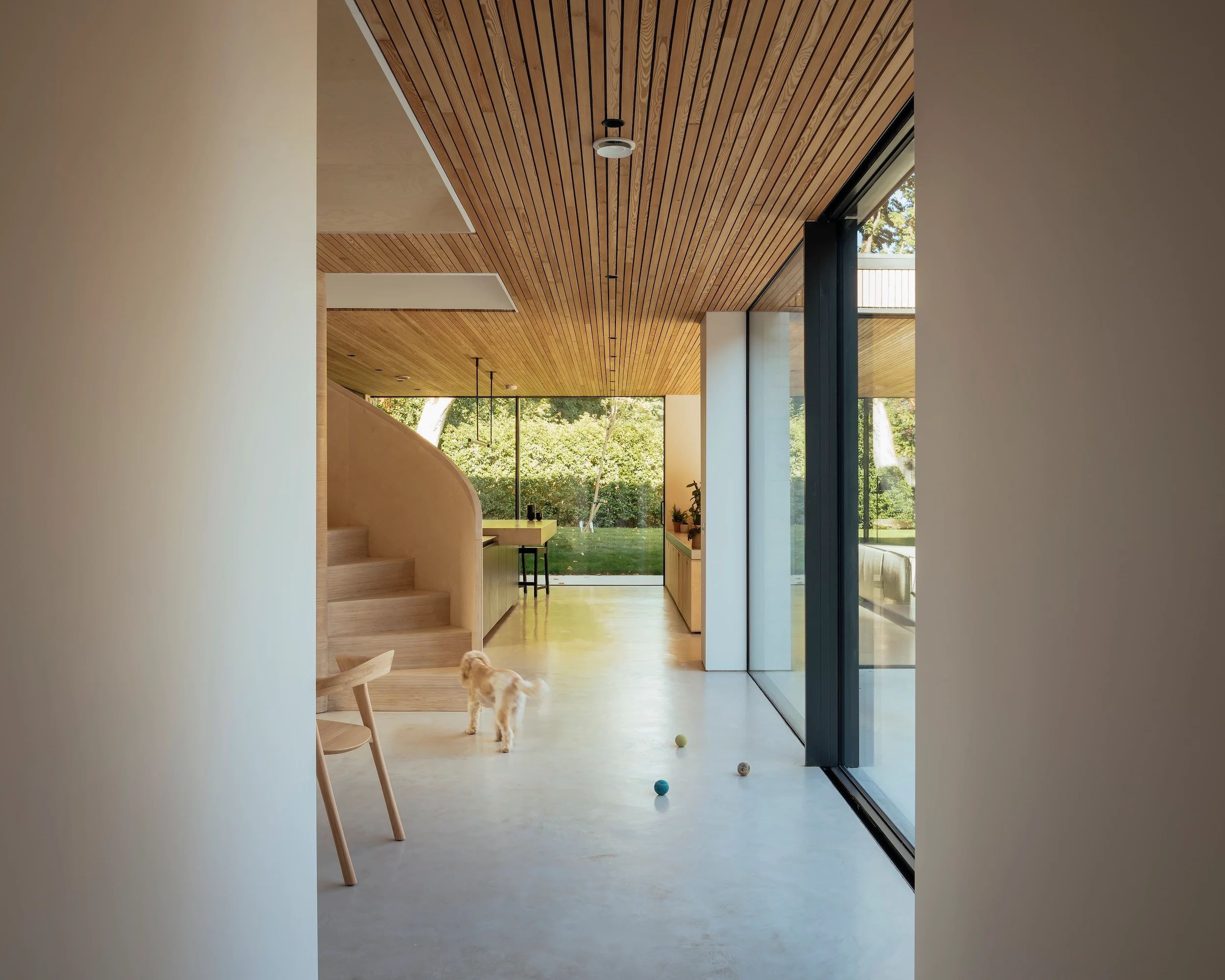 The Arbor House in Aberdeen, UK by Brown & Brown Architects
