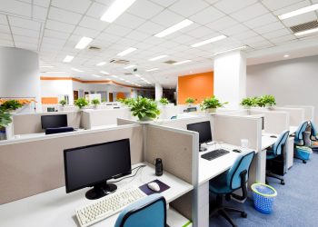 Breathing Life Into the Office With Plants
