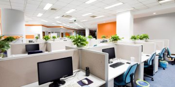 Breathing Life Into the Office With Plants