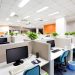Breathing Life Into the Office With Plants