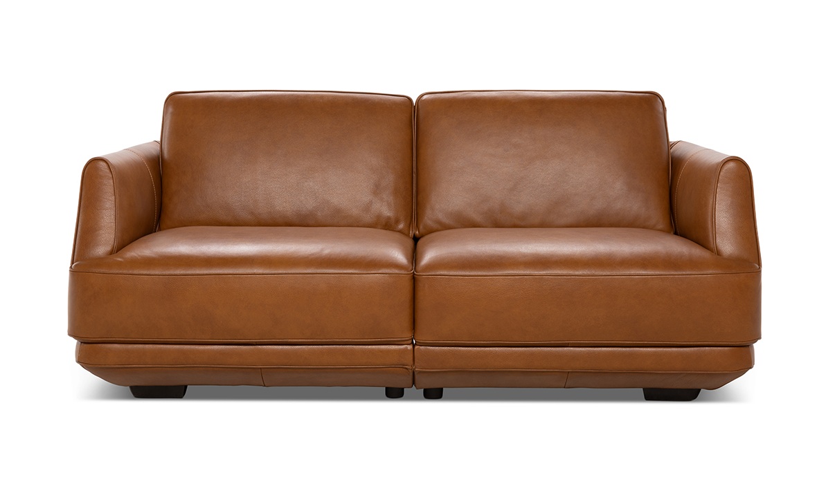 Carter Fabric/Leather Loveseat