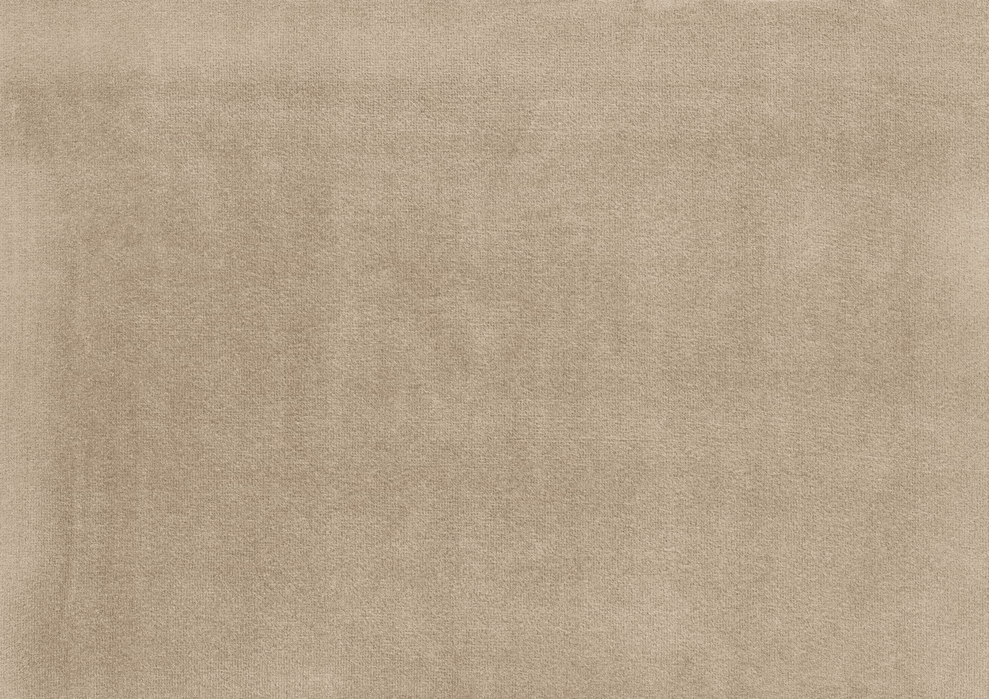 Carlson Velvet Accent Chair