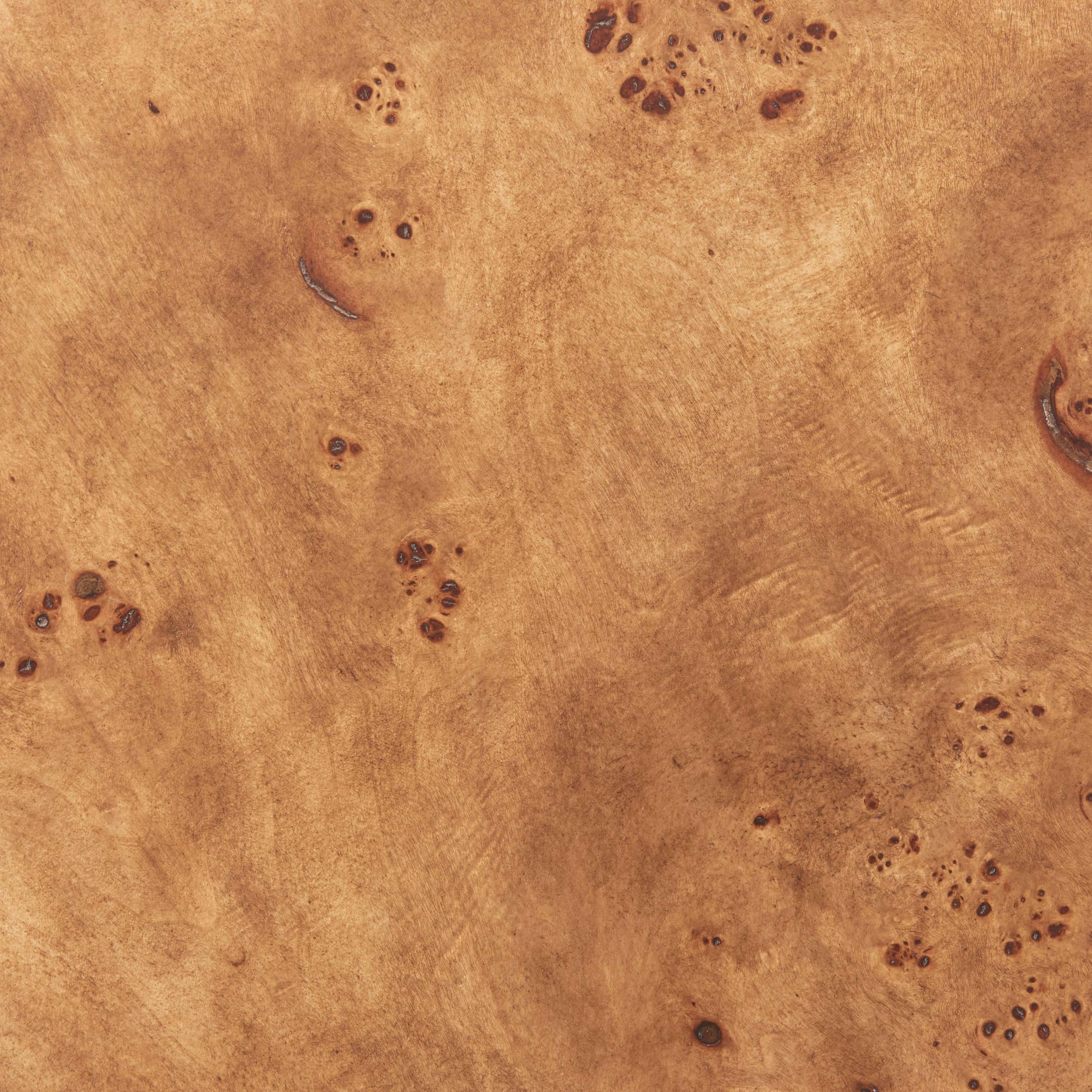 Adna Round Burl Veneer MDF/Steel Side Table