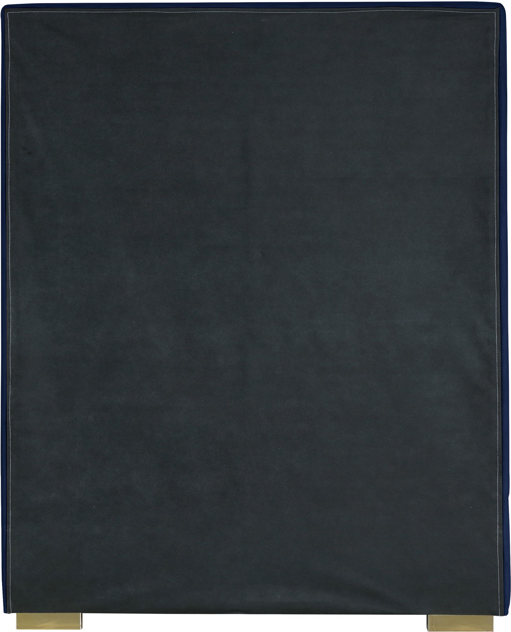 Nora Velvet Twin Size Bed