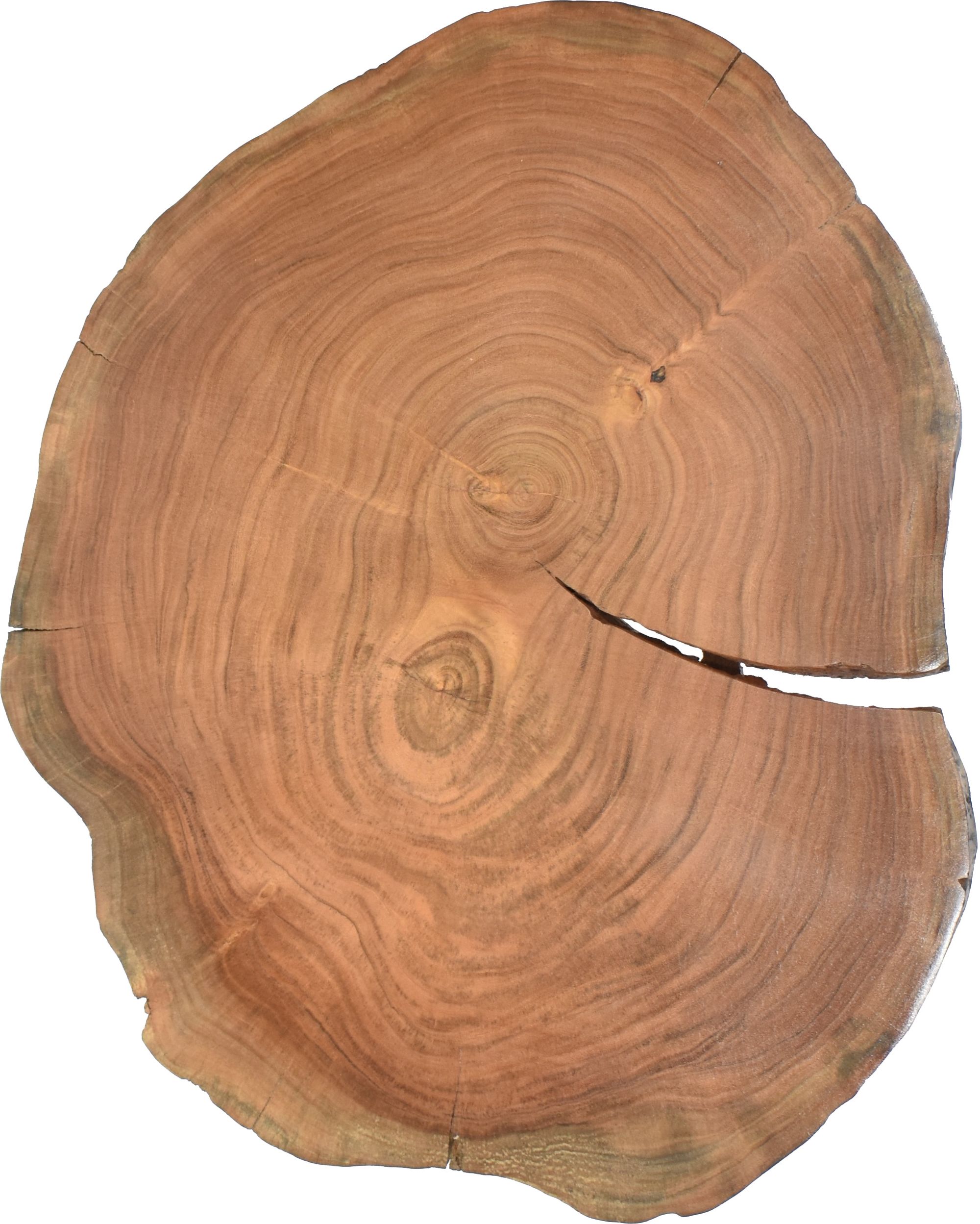 Woodland Live Edge Acacia Wood End Table with Acrylic Legs