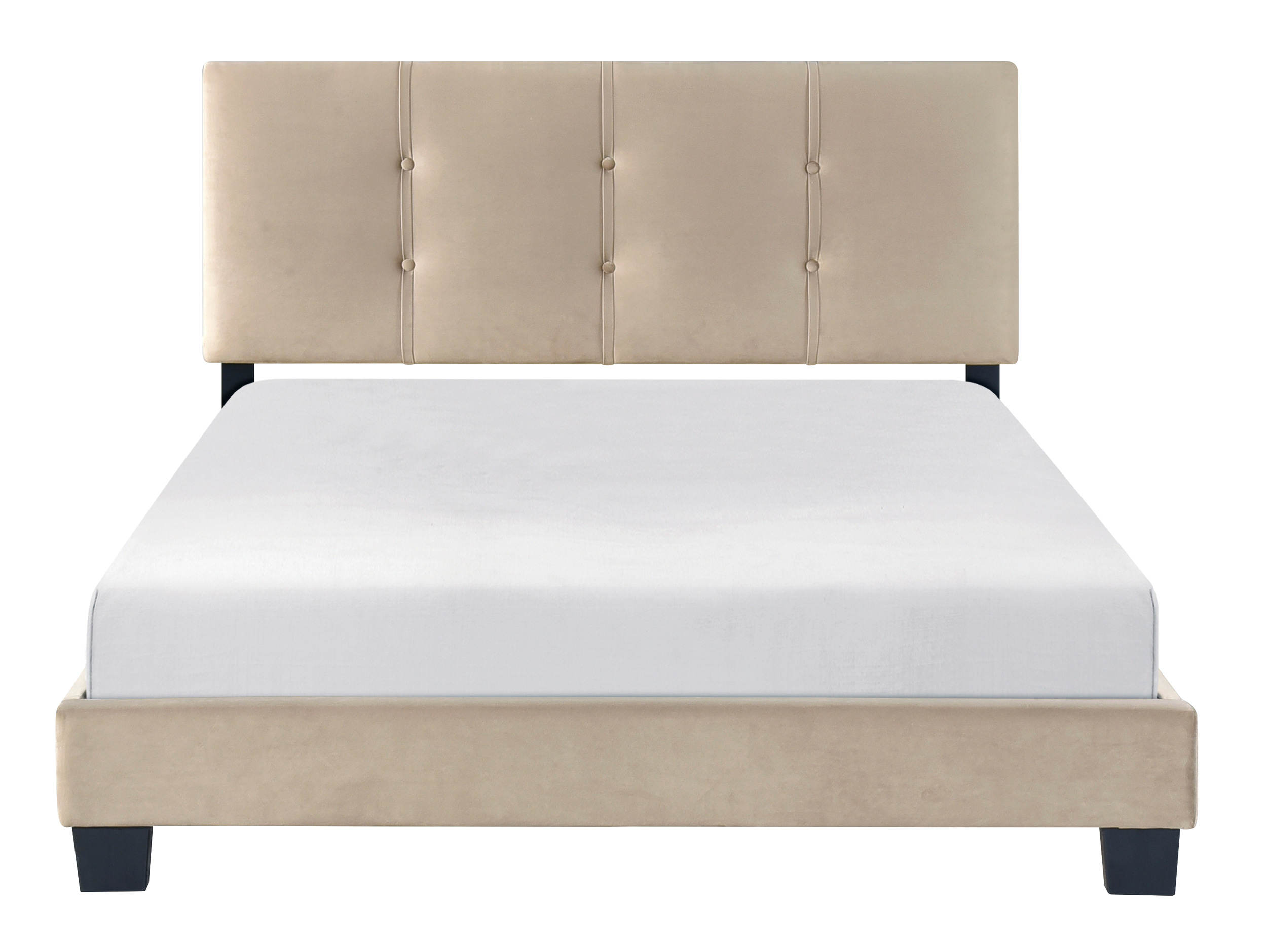 Newberry Velvet Queen Platform Bed
