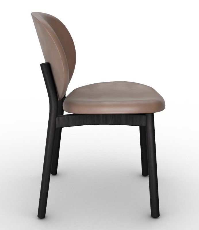 Ines Upholstery/Wood Dining Chair