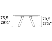 Icaro W98.4-inch Ceramic/Wood Customizable Rectangular Dining Table