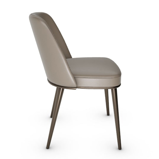 Foyer Fabric/Metal Customizable Upholstered Dining Chair
