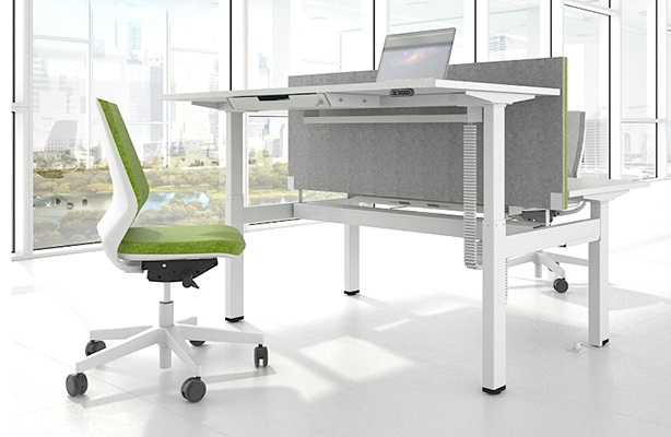 NARBUTAS Motion 62.9&quot Electric Adj 2-Desk Bench