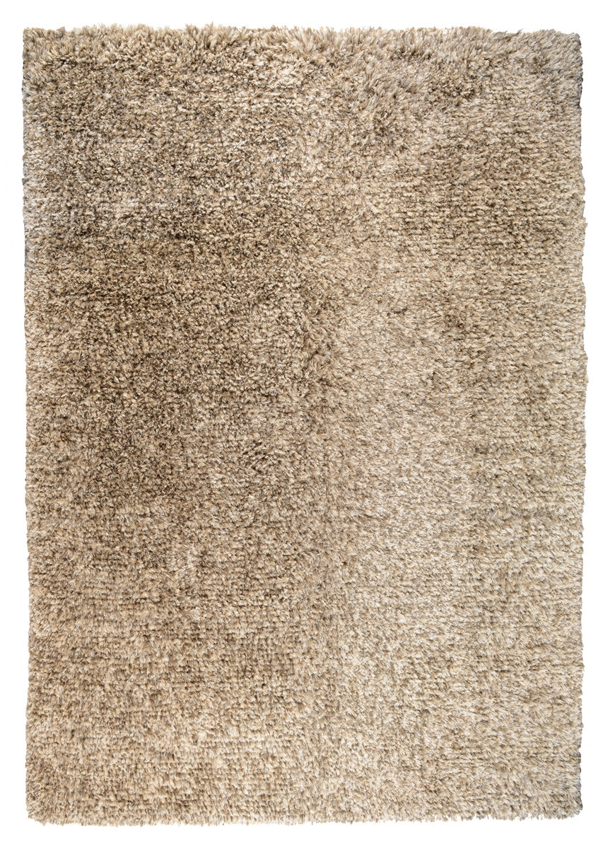 The Ritz Shag Polyester/Wool/Cotton Handwoven 8' x 10' Rug