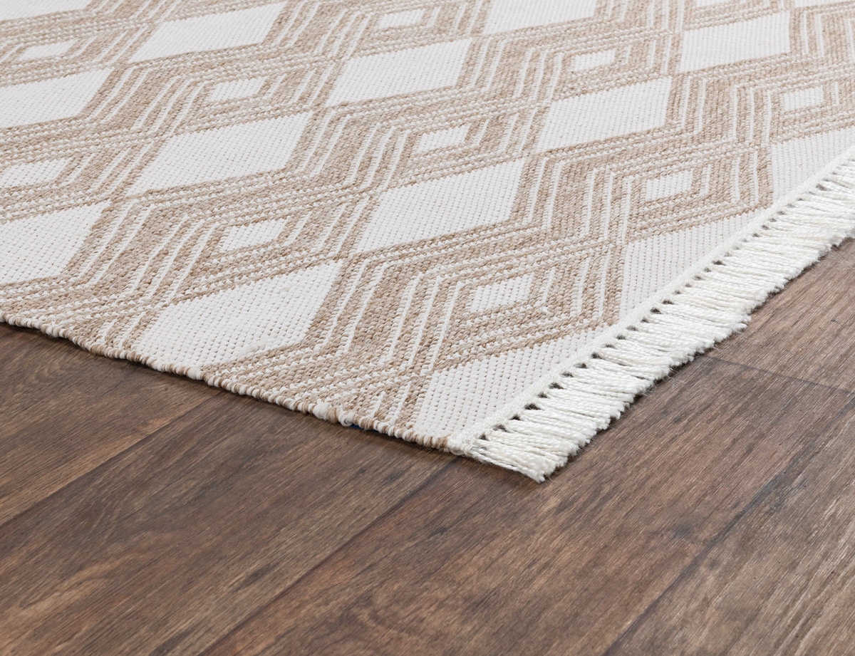 Banning Indoor/Outdoor Handwoven Rug