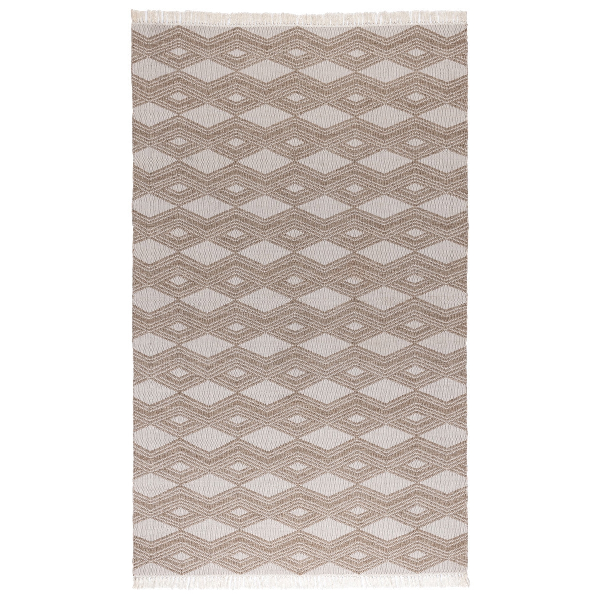 Banning Indoor/Outdoor Handwoven Rug
