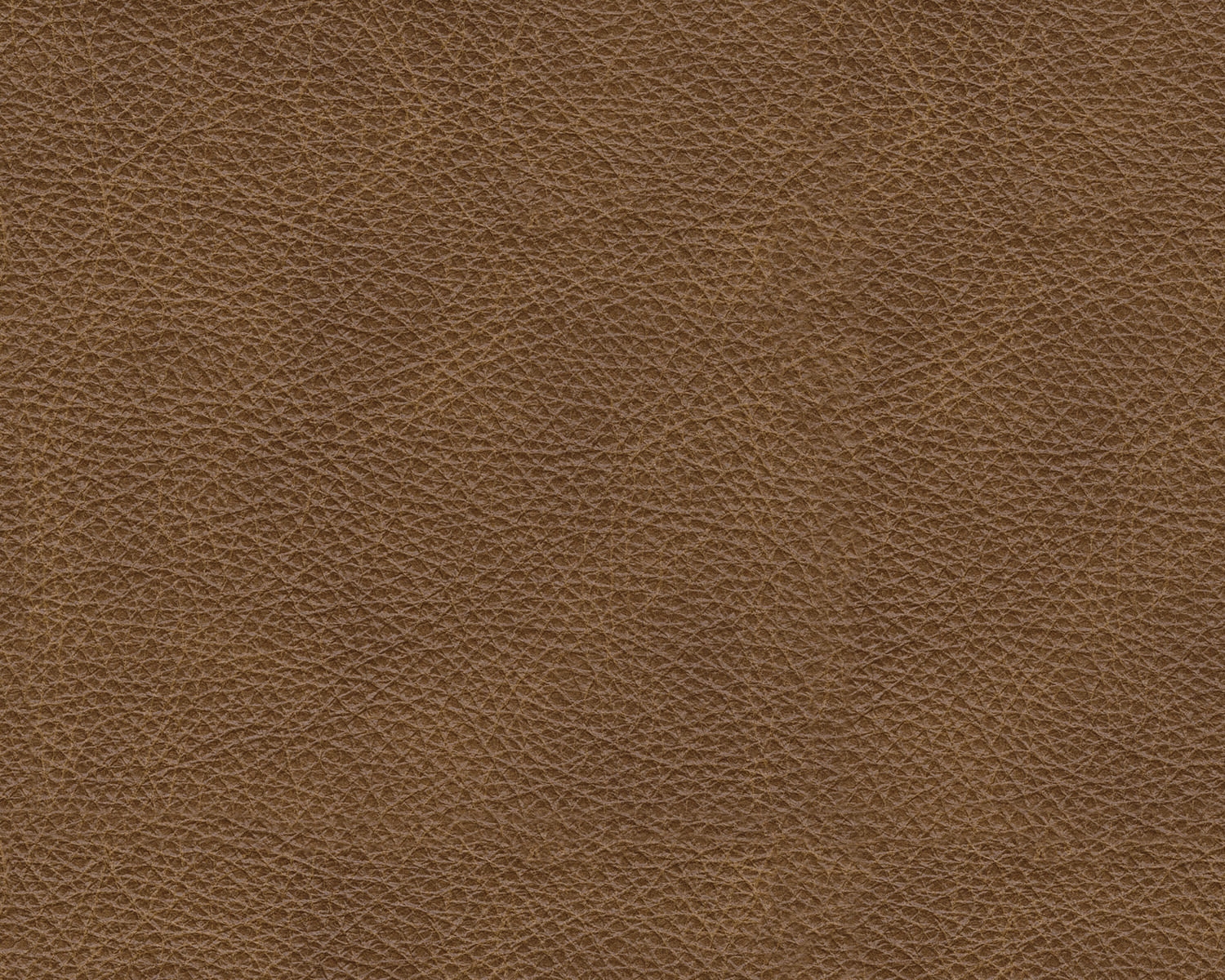 Emilia Leather