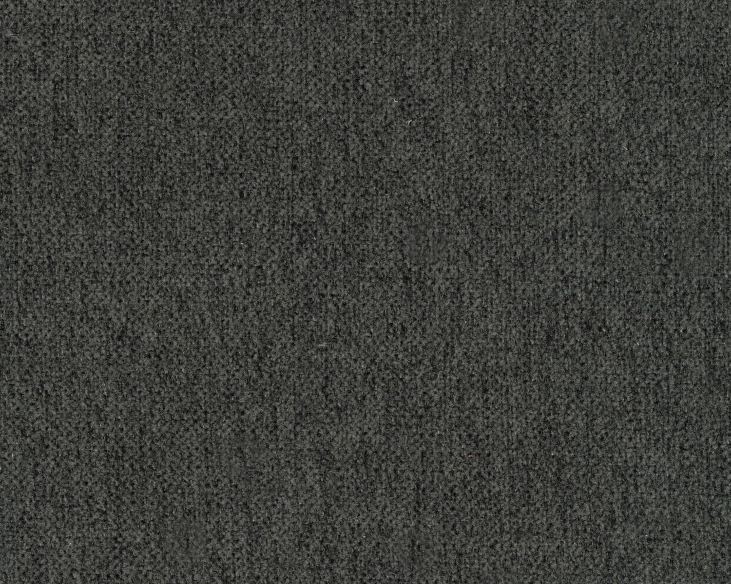 Bayonne Polyester Loveseat