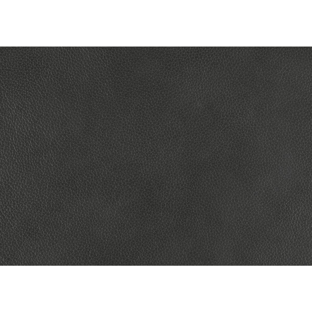 Danio Leather/Bi-Cast Vinyl Living Room Set by Homelegance