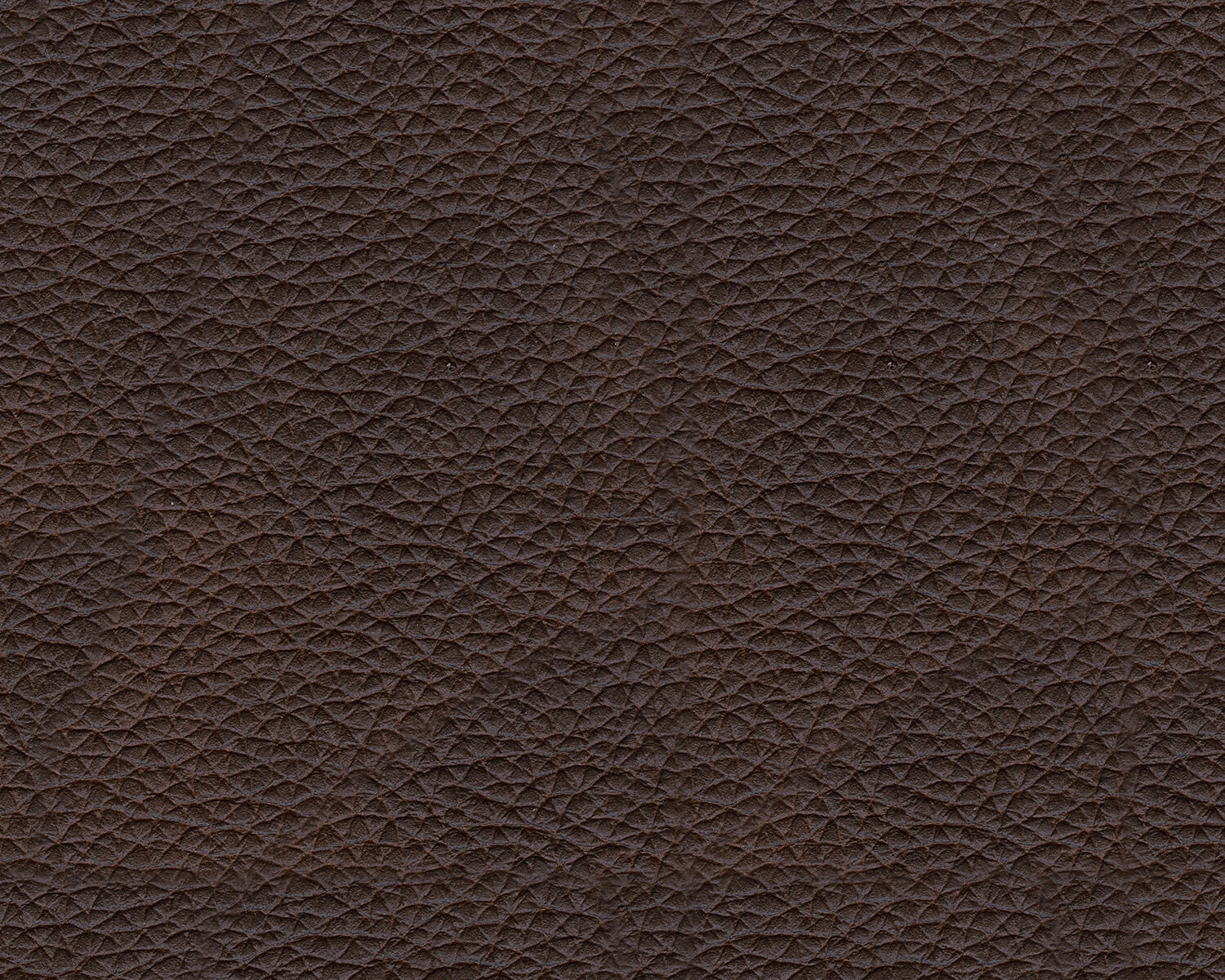 Punch Up Fabric
