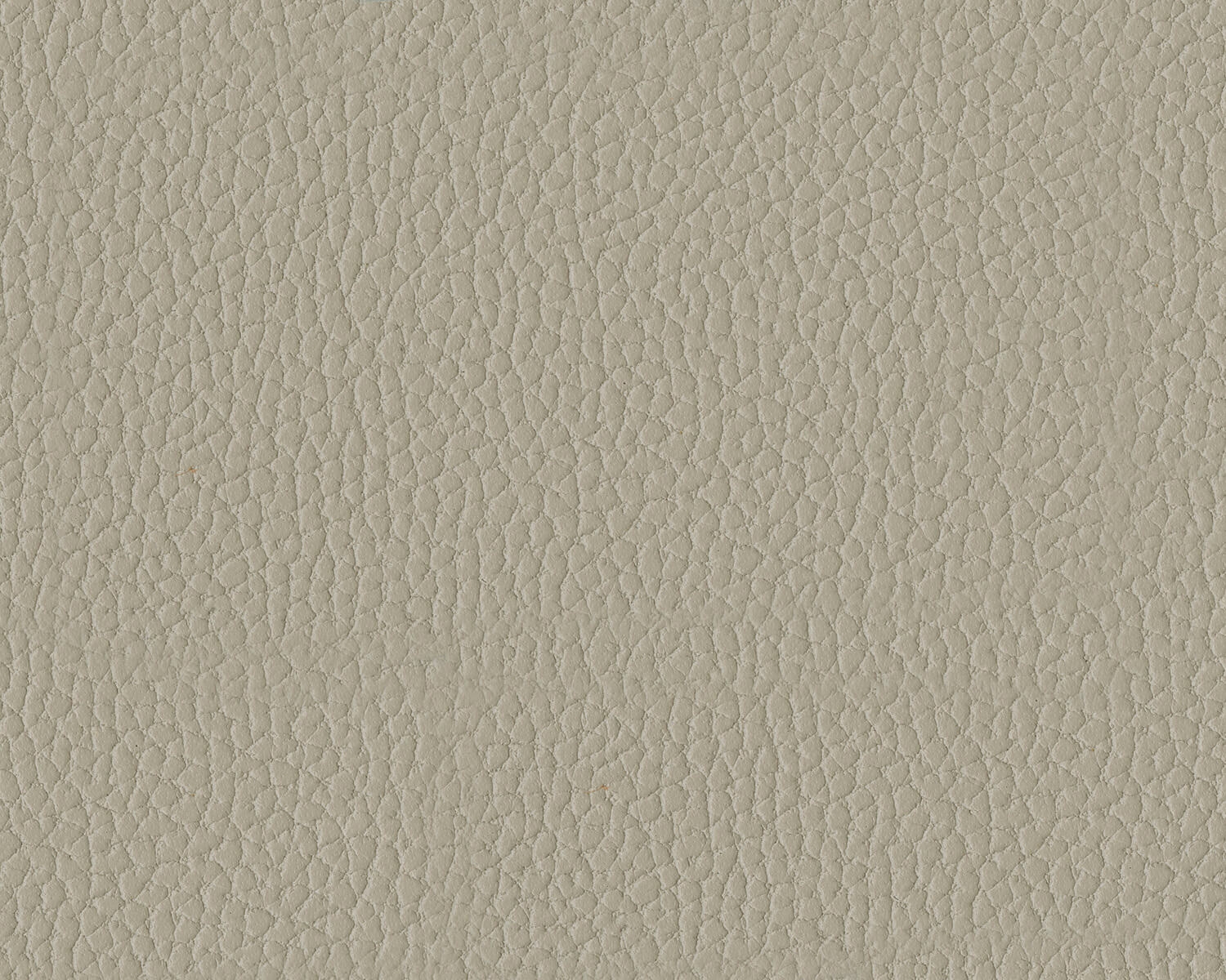 Ryversans Dove Gray Fabric