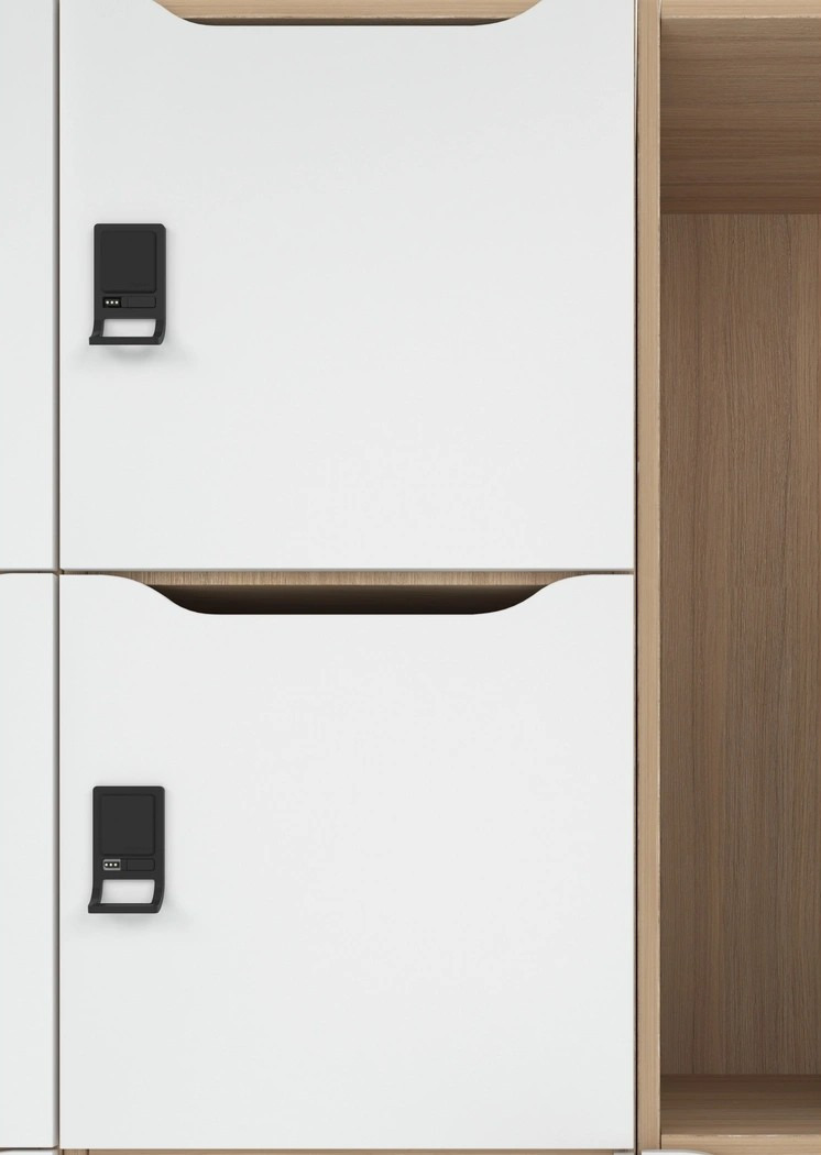 NARBUTAS Choice 1 Row Locker w/Small & Big Doors