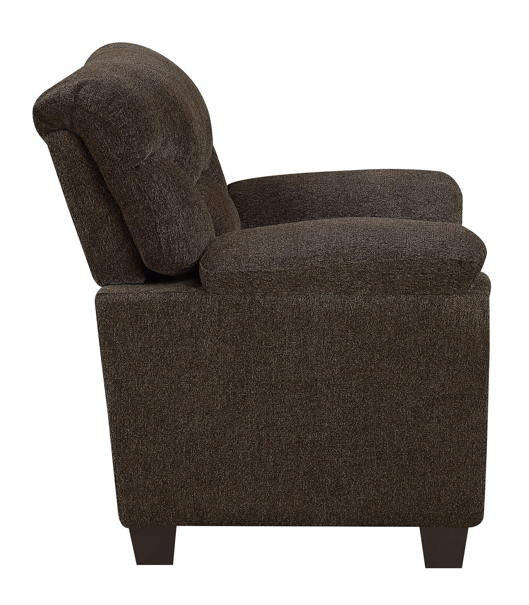Clemintine Chenille Chair with Nailhead Trim