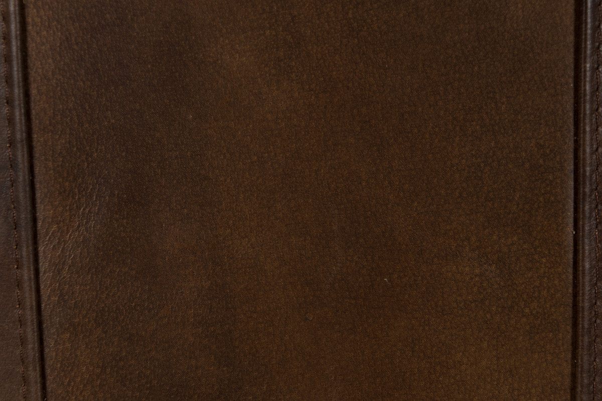 Christopher Top Grain Leather Club Chair