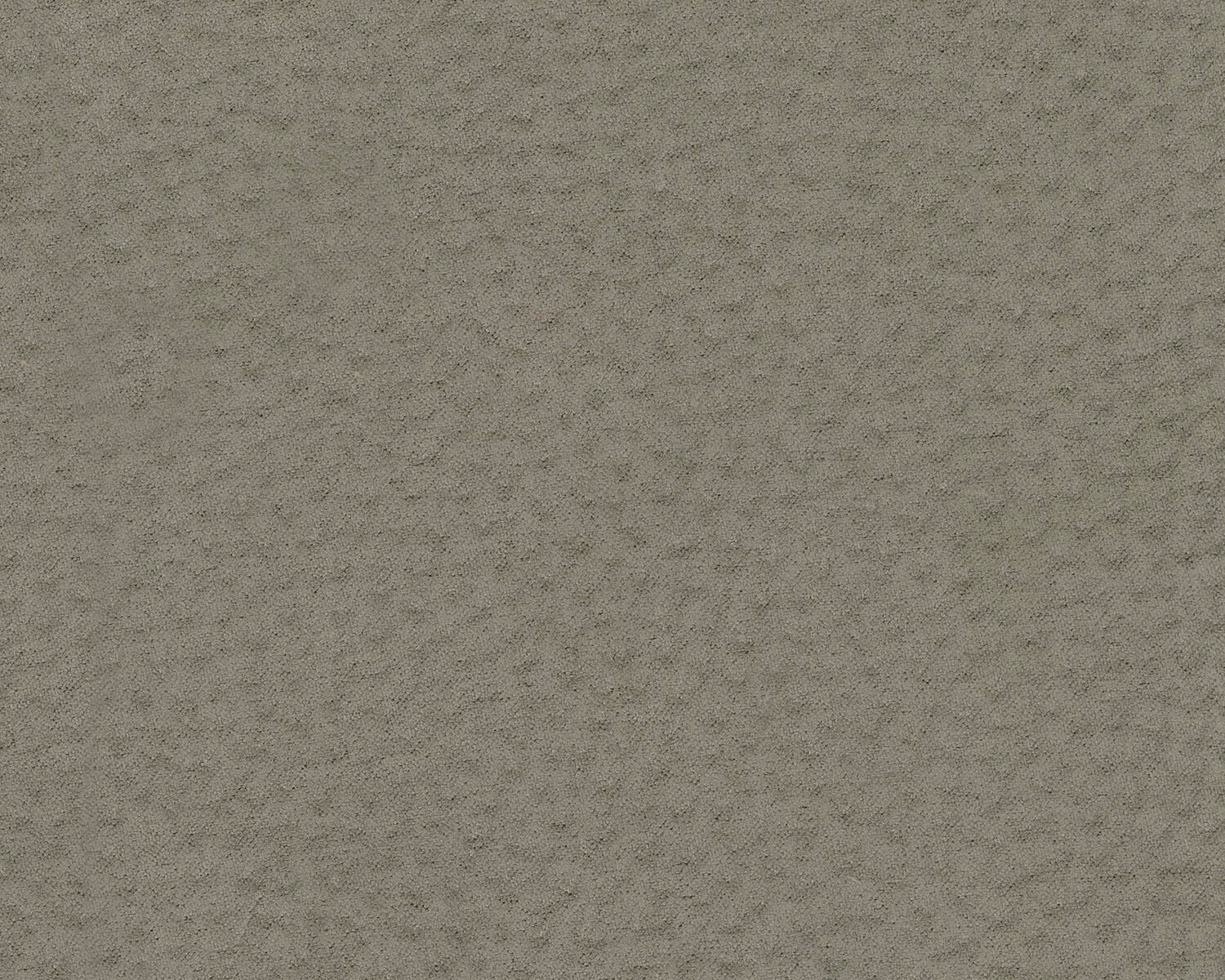 Next-Gen Gaucho Fabric