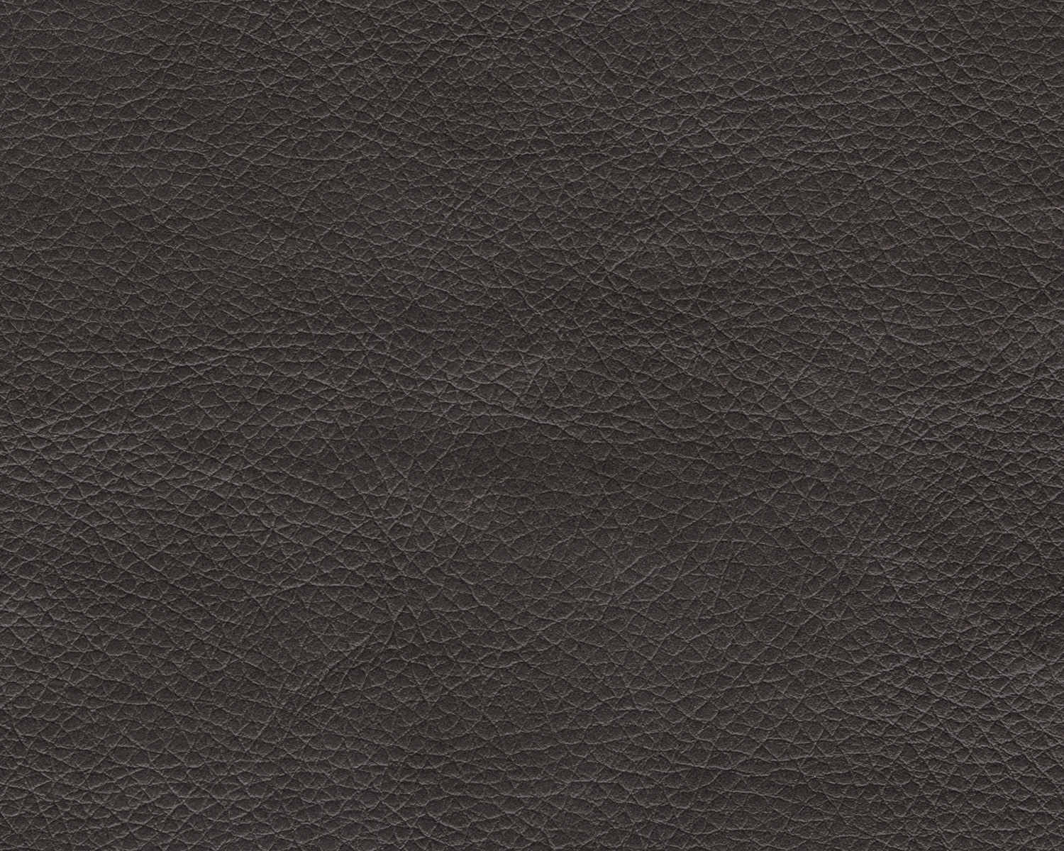 Samperstone Polyester Fabric