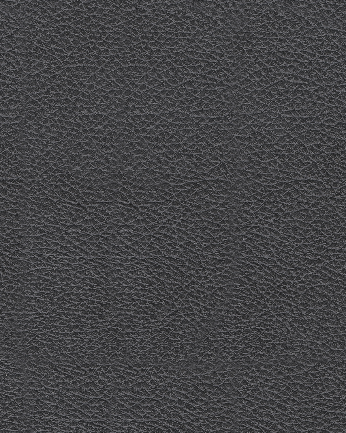 Bolsena Leather Sofa