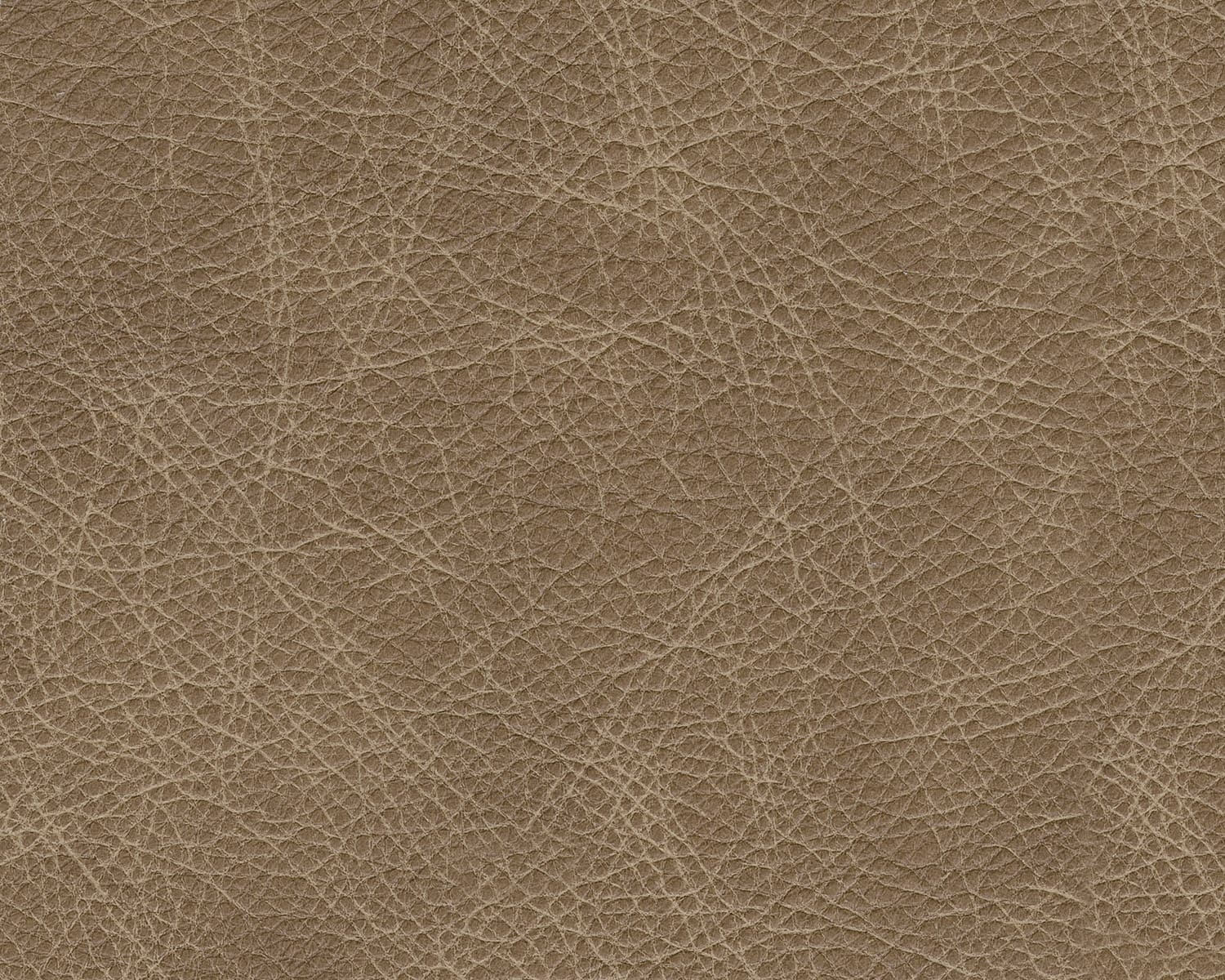 Lombardia Leather