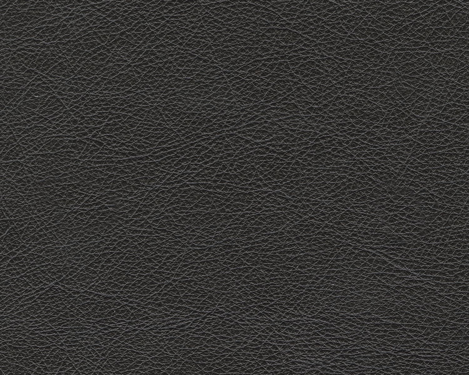 Amiata Leather