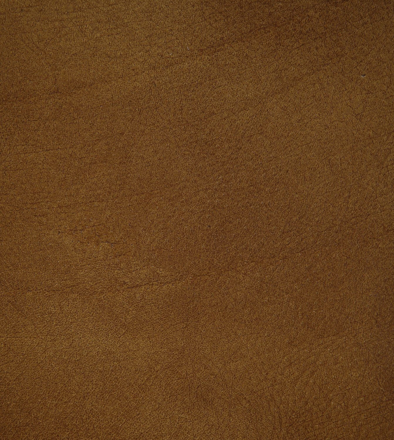 Balrog Top Grain Leather Accent Chair