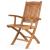 Pedasa Folding Armchair
