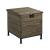 Hidden Treasures Rectangular Wood/Metal Trunk End Table