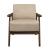 Carlson Velvet Accent Chair