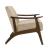 Carlson Velvet Accent Chair