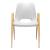 Desi Faux Leather/Steel Dining Chair