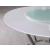 Abby Wood Veneer Round Dining Table with Glass Lazy Susan