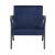 Coriana Velvet Accent Chair