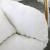 Luna Acrylic Swing Bubble Accent Chair with Gold Metal Base