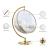 Luna Acrylic Swing Bubble Accent Chair with Gold Metal Base