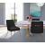 Ace Velvet Dining Chair with Polished Gold Legs