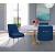 Ace Velvet Dining Chair with Polished Gold Legs