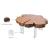 Woodland Live Edge Acacia Wood Coffee Table with Acrylic Legs