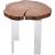 Woodland Live Edge Acacia Wood End Table with Acrylic Legs