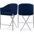 Xavier Counter Stool with Chrome Metal Legs