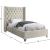Aiden Velvet Twin Size Bed