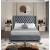 Aiden Velvet Queen Size Bed