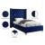 Aiden Velvet Twin Size Bed
